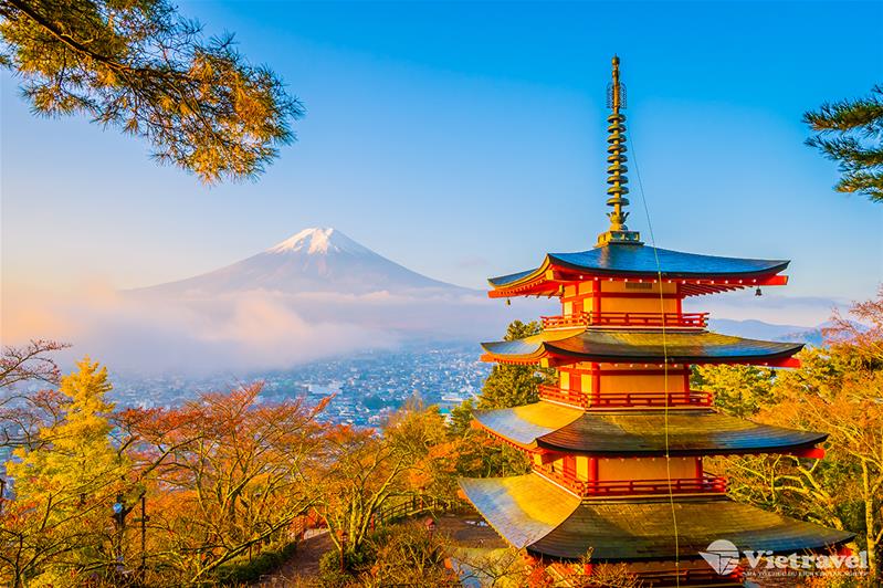 Nhật Bản: Tokyo - Núi Phú Sĩ - Odaiba -  Korankei - Nagoya - Kyoto - Osaka | Trải nghiệm hái trái cây | Thu bên nhau